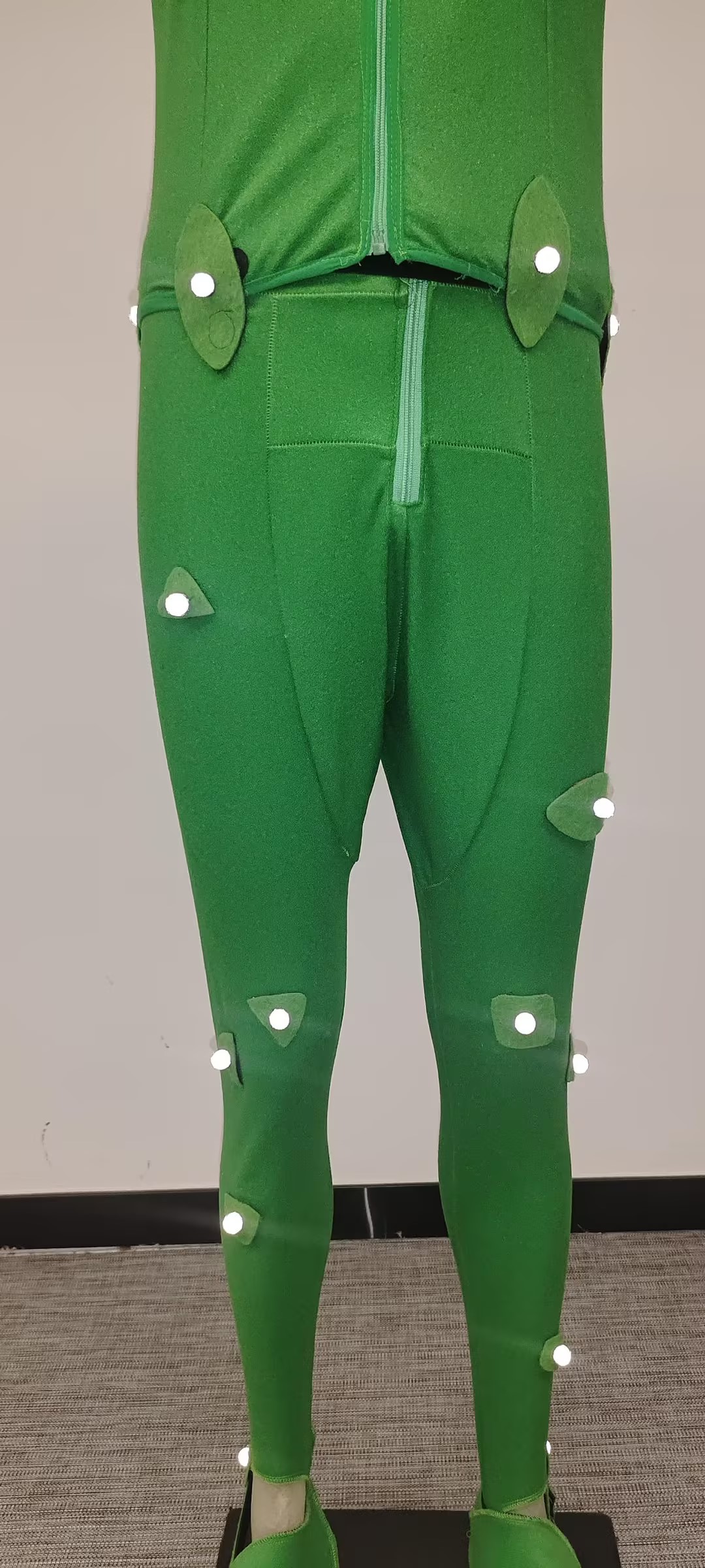 Front View of the Legs